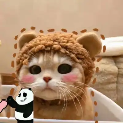 池乔爬爬可爱橘色猫猫情头自加情侣头像我要个性网 池乔爬爬可爱橘色猫猫情头自加情侣头像我要个性网