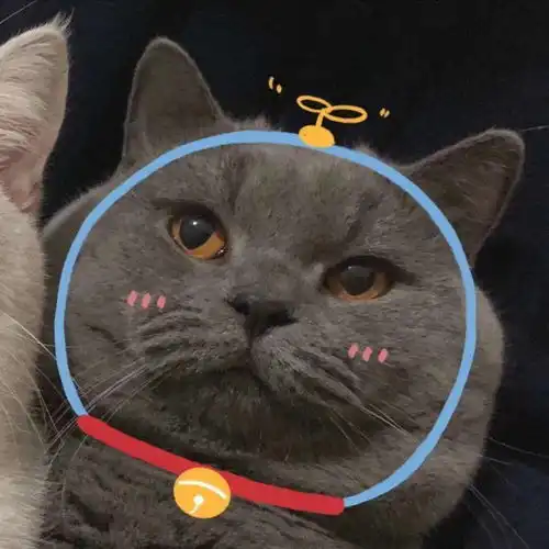  嘴角上扬的时候,任何事情都变的可爱起来