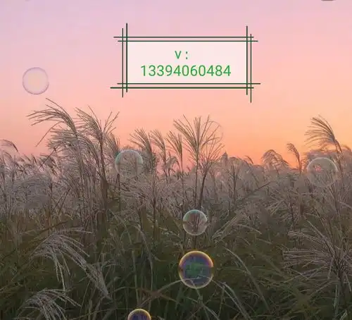 有意境的高清风景系情侣