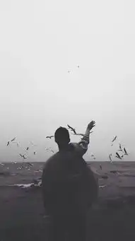  君颜