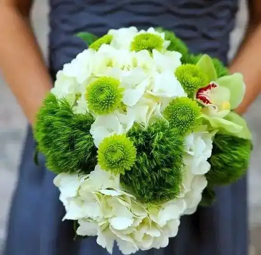  清新绿谁说绿色的只有叶子绿色的花超养眼