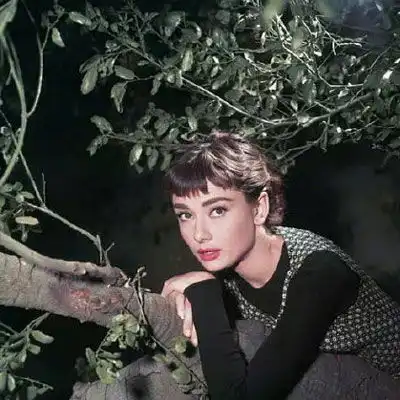 赫本头像经典复古奥黛丽赫本高清头像图片 赫本头像经典复古奥黛丽赫本高清头像图片