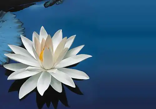  未来7月三生肖不愁富贵,喜事连连,事业生活蒸蒸日上