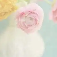  绝美小清新花朵头像微信头像图片大全
