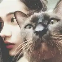 2019情侣头像萌宠一左一右微信头像图片大全 2019情侣头像萌宠一左一右微信头像图片大全