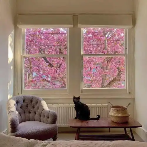 特别喜欢的个性头像背景 特别喜欢的个性头像背景