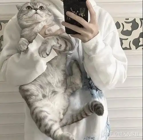  有哪些很耐看的猫系男生头像