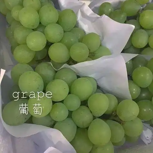  人生的态度,正能量句子
