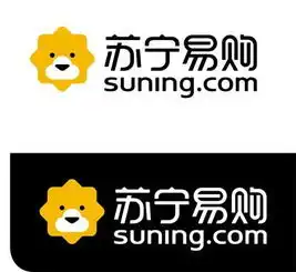  苏宁易购打造百年苏宁,企业因善而兴