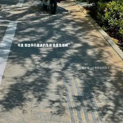  2023最新绿色养眼小清新风景头像