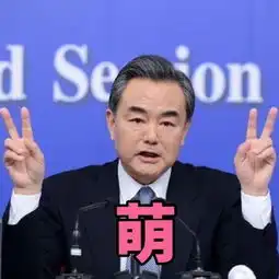  新晋男神外交部长王毅明明可以靠脸吃饭偏偏要靠才华