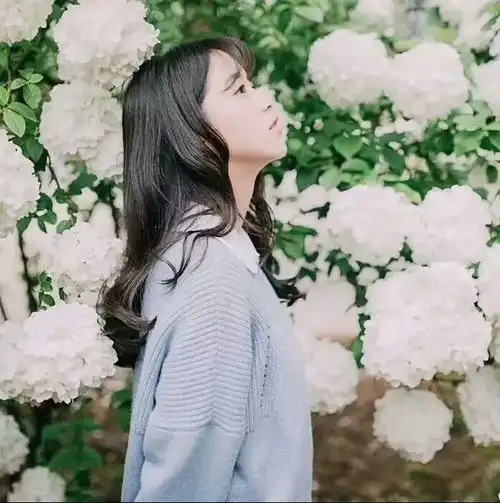 原谅我长相平凡至极,没能让你一眼着迷 原谅我长相平凡至极,没能让你一眼着迷