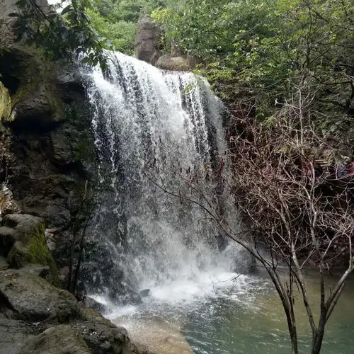 有哪些中老年女性适合的头像 有哪些中老年女性适合的头像