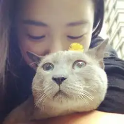  qq皮肤温柔最好的不是这个女生意境