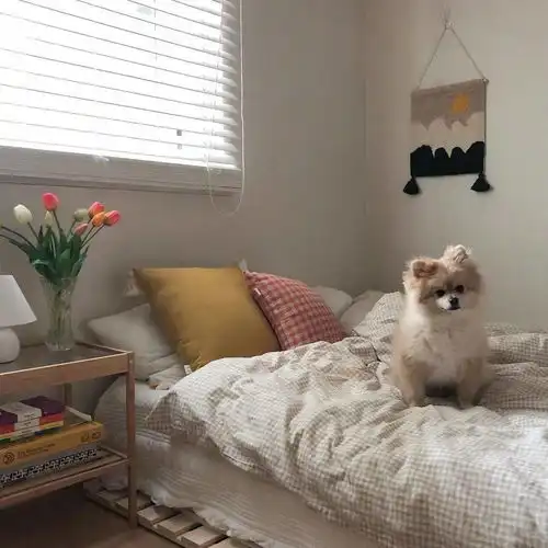 背景图百看不厌系列背景图 背景图百看不厌系列背景图