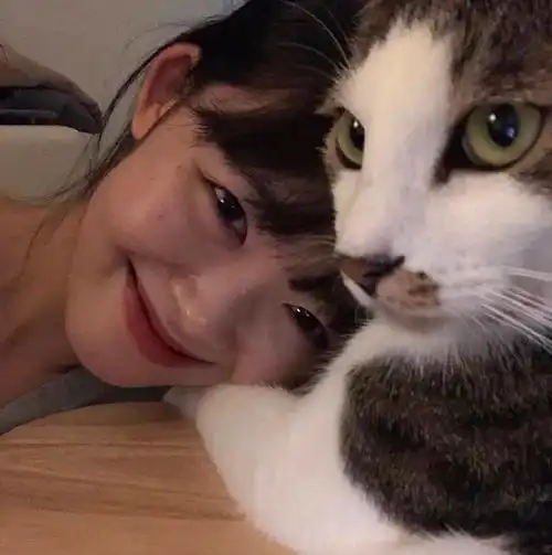 猫系女友的头像可爱爱巢