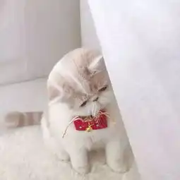  萌系头像天冷了,想喝各种各样的汤