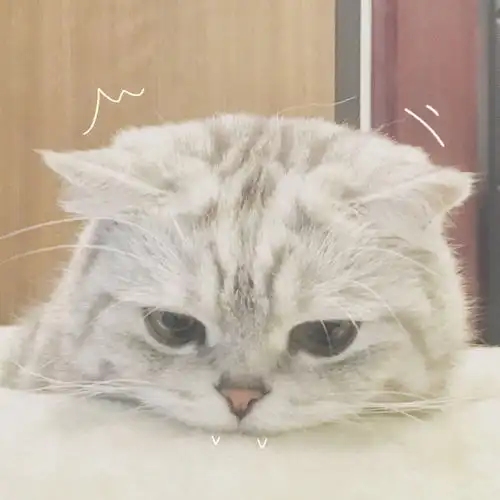 求问怎么用两张卡省话费啊 求问怎么用两张卡省话费啊