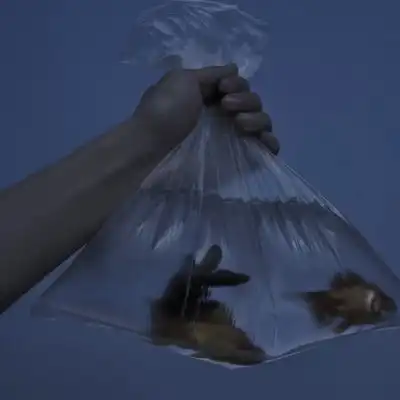  苏瓷唯美意境背景风景唯美蓝风景静物头像我要个性网