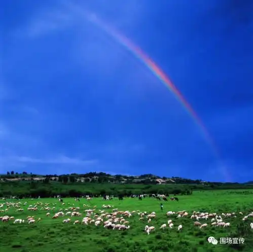 木兰围场这里是水的源头云的故乡花的世界,更是林的海洋 木兰围场这里是水的源头云的故乡花的世界,更是林的海洋