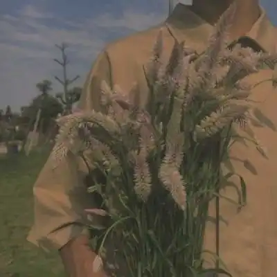 拿花男头,无人问津的巷口总是开男生头像我要个性网 拿花男头,无人问津的巷口总是开男生头像我要个性网