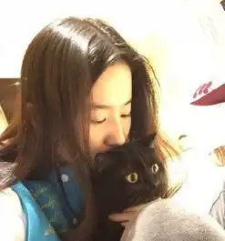 猫系女友的头像可爱胡歌
