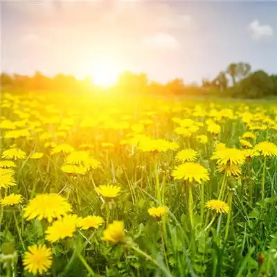  2018微信头像风景蓝天草地唯美有意境的微信头像治愈系