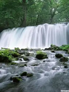 解读如果公司增发被立案稽查,暂停审核也很受市场恩宠 解读如果公司增发被立案稽查,暂停审核也很受市场恩宠