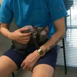 qq头像男纹身