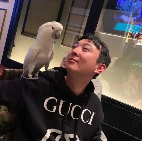  王思聪破产后卖拖鞋上热搜废掉一个人最好的方法,是顺其自然