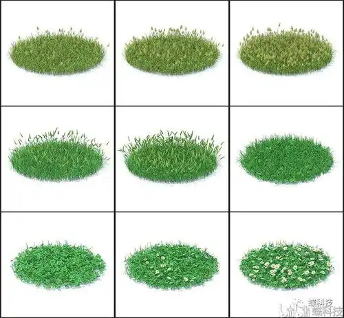 野生园艺植物树木绿色花朵3d模型素材c4dmaxfbxobj格式 野生园艺植物树木绿色花朵3d模型素材c4dmaxfbxobj格式