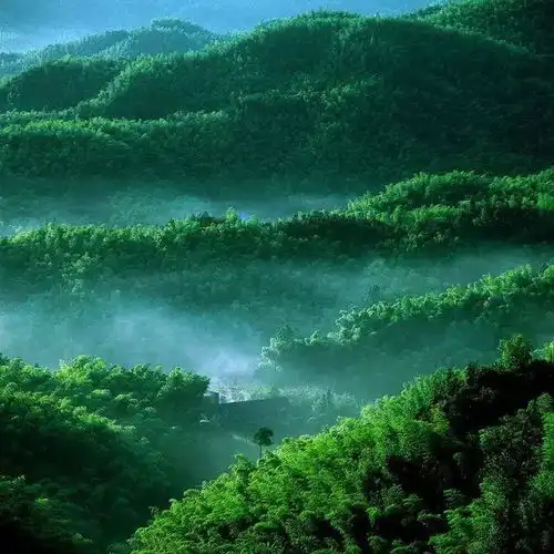  养眼风光,快来看看