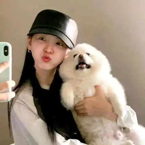 猫系女友头像头像图片李