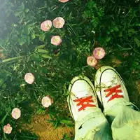 充满生机的清新绿色个性头像 充满生机的清新绿色个性头像