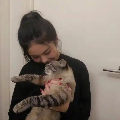  抱猫女头像,抱猫咪的仙气女生头像3