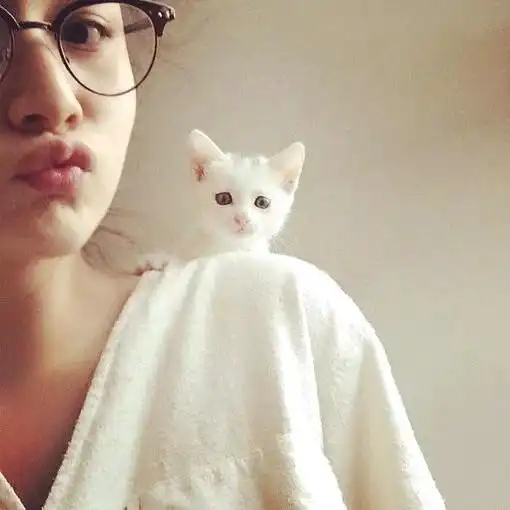 男生头像猫系