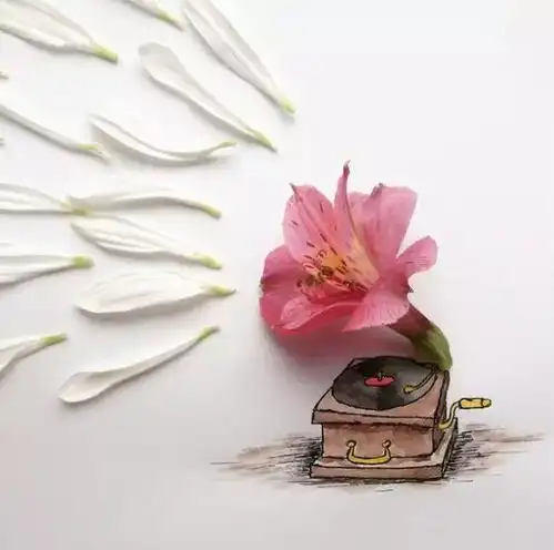  面条不是用来煮的,水果也不是用来吃的