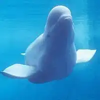 动漫背影男生头像蓝色动漫男生背影头像 动漫背影男生头像蓝色动漫男生背影头像