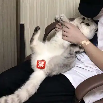  二兽时尚小众风格高冷成熟男头