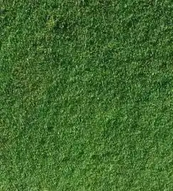  朋友圈看太多,视力2.0跌到0.6医生使用微信这个功能,可以保护眼睛