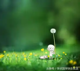  护眼养眼风景美图,可做手机壁纸或头像用免费使用