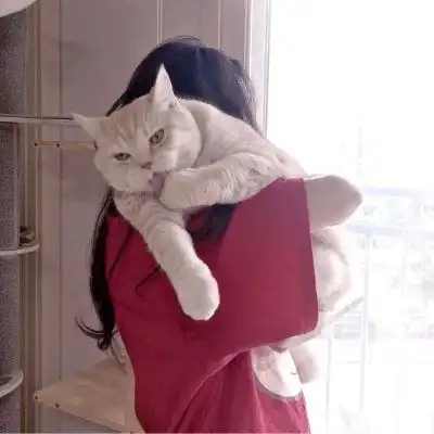 猫系女友的头像可爱3分