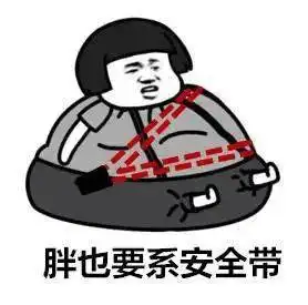  不系安全带你们又被曝光了