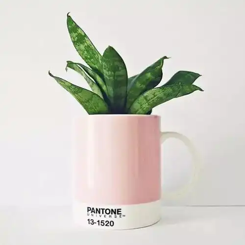  专属于春季的绿色系美甲,美爆了