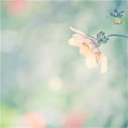  求做个班级群头像