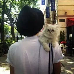  阿里开始的美拍