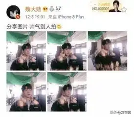 猫系女友头像头像图片犬