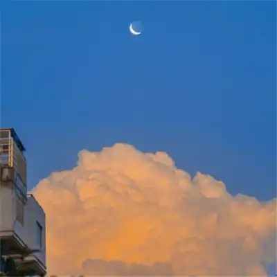  绝绝子